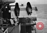 Immagine di Task force Saipan Isole Marianne Settentrionali, 1944, secondo 61 filmato di repertorio 65675071741
