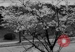 Standbild Königliche Hochzeit Vorbereitungen Tokio Japan, 1959, aus Sekunde 31 historischem Filmmaterial Videoclip 65675071751