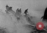 Immagine di Coreano crash aereo Seoul COREA DEL SUD, 1967, secondo 24 filmato di repertorio 65675071754