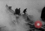 Immagine di Coreano crash aereo Seoul COREA DEL SUD, 1967, secondo 25 filmato di repertorio 65675071754