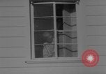 Immagine di Kenneth Young California United States USA, 1967, secondo 39 filmato di repertorio 65675071755