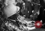 Image jure-dans les cérémonies la Rhodésie, 1967, de la seconde 42 séquences d'archives historiques vidéo 65675071758