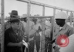 Image of Guantanamo Bay Naval Base Cuba, 1962, second 39 stock footage video 65675071767