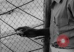 Image of Guantanamo Bay Naval Base Cuba, 1962, second 44 stock footage video 65675071767