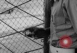 Image of Guantanamo Bay Naval Base Cuba, 1962, second 46 stock footage video 65675071767