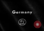 Standbild Pudel Bornhoeved Deutschland, 1962, aus Sekunde 1 historischem Filmmaterial Videoclip 65675071768