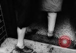 Standbild Pudel Bornhoeved Deutschland, 1962, aus Sekunde 9 historischem Filmmaterial Videoclip 65675071768