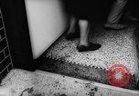 Standbild Pudel Bornhoeved Deutschland, 1962, aus Sekunde 10 historischem Filmmaterial Videoclip 65675071768