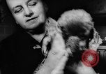 Standbild Pudel Bornhoeved Deutschland, 1962, aus Sekunde 19 historischem Filmmaterial Videoclip 65675071768