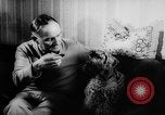 Standbild Pudel Bornhoeved Deutschland, 1962, aus Sekunde 28 historischem Filmmaterial Videoclip 65675071768