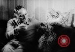 Standbild Pudel Bornhoeved Deutschland, 1962, aus Sekunde 29 historischem Filmmaterial Videoclip 65675071768
