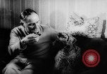 Standbild Pudel Bornhoeved Deutschland, 1962, aus Sekunde 30 historischem Filmmaterial Videoclip 65675071768