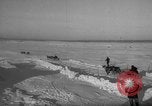 Standbild Rentier-rennen Russland, 1962, aus Sekunde 20 historischem Filmmaterial Videoclip 65675071769