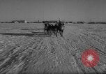 Standbild Rentier-rennen Russland, 1962, aus Sekunde 23 historischem Filmmaterial Videoclip 65675071769