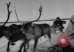 Standbild Rentier-rennen Russland, 1962, aus Sekunde 26 historischem Filmmaterial Videoclip 65675071769