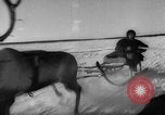Standbild Rentier-rennen Russland, 1962, aus Sekunde 27 historischem Filmmaterial Videoclip 65675071769