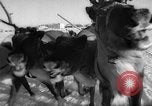 Standbild Rentier-rennen Russland, 1962, aus Sekunde 29 historischem Filmmaterial Videoclip 65675071769