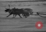 Standbild Rentier-rennen Russland, 1962, aus Sekunde 33 historischem Filmmaterial Videoclip 65675071769