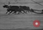 Standbild Rentier-rennen Russland, 1962, aus Sekunde 34 historischem Filmmaterial Videoclip 65675071769