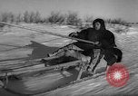 Standbild Rentier-rennen Russland, 1962, aus Sekunde 36 historischem Filmmaterial Videoclip 65675071769