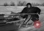 Standbild Rentier-rennen Russland, 1962, aus Sekunde 37 historischem Filmmaterial Videoclip 65675071769