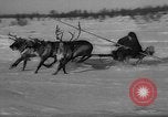 Standbild Rentier-rennen Russland, 1962, aus Sekunde 44 historischem Filmmaterial Videoclip 65675071769