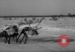 Standbild Rentier-rennen Russland, 1962, aus Sekunde 45 historischem Filmmaterial Videoclip 65675071769