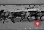 Standbild Rentier-rennen Russland, 1962, aus Sekunde 46 historischem Filmmaterial Videoclip 65675071769