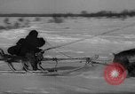 Standbild Rentier-rennen Russland, 1962, aus Sekunde 47 historischem Filmmaterial Videoclip 65675071769