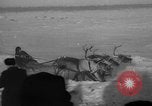Standbild Rentier-rennen Russland, 1962, aus Sekunde 53 historischem Filmmaterial Videoclip 65675071769