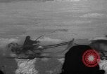 Standbild Rentier-rennen Russland, 1962, aus Sekunde 54 historischem Filmmaterial Videoclip 65675071769