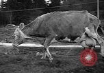 Image Sammamish Slough Outboard Classic Seattle Washington USA, 1948, de la seconde 59 séquences d'archives historiques vidéo 65675071774