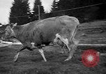 Image Sammamish Slough Outboard Classic Seattle Washington USA, 1948, de la seconde 60 séquences d'archives historiques vidéo 65675071774