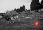 Image Sammamish Slough Outboard Classic Seattle Washington USA, 1948, de la seconde 61 séquences d'archives historiques vidéo 65675071774