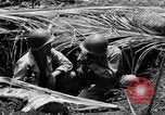 Standbild 158 Infanterie Bataillon 2 Arawe New Britain Papua-Neuguinea, 1943, aus Sekunde 27 historischem Filmmaterial Videoclip 65675071778