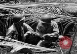 Standbild 158 Infanterie Bataillon 2 Arawe New Britain Papua-Neuguinea, 1943, aus Sekunde 28 historischem Filmmaterial Videoclip 65675071778