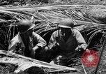 Standbild 158 Infanterie Bataillon 2 Arawe New Britain Papua-Neuguinea, 1943, aus Sekunde 29 historischem Filmmaterial Videoclip 65675071778