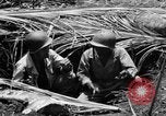 Standbild 158 Infanterie Bataillon 2 Arawe New Britain Papua-Neuguinea, 1943, aus Sekunde 30 historischem Filmmaterial Videoclip 65675071778