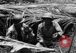 Standbild 158 Infanterie Bataillon 2 Arawe New Britain Papua-Neuguinea, 1943, aus Sekunde 31 historischem Filmmaterial Videoclip 65675071778