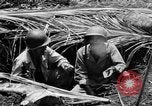 Standbild 158 Infanterie Bataillon 2 Arawe New Britain Papua-Neuguinea, 1943, aus Sekunde 32 historischem Filmmaterial Videoclip 65675071778