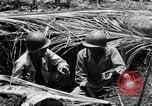 Standbild 158 Infanterie Bataillon 2 Arawe New Britain Papua-Neuguinea, 1943, aus Sekunde 33 historischem Filmmaterial Videoclip 65675071778