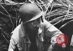 Standbild 158 Infanterie Bataillon 2 Arawe New Britain Papua-Neuguinea, 1943, aus Sekunde 37 historischem Filmmaterial Videoclip 65675071778