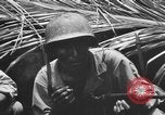 Standbild 158 Infanterie Bataillon 2 Arawe New Britain Papua-Neuguinea, 1943, aus Sekunde 43 historischem Filmmaterial Videoclip 65675071778