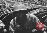 Standbild 158 Infanterie Bataillon 2 Arawe New Britain Papua-Neuguinea, 1943, aus Sekunde 44 historischem Filmmaterial Videoclip 65675071778