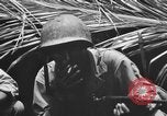 Standbild 158 Infanterie Bataillon 2 Arawe New Britain Papua-Neuguinea, 1943, aus Sekunde 45 historischem Filmmaterial Videoclip 65675071778