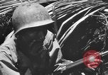 Standbild 158 Infanterie Bataillon 2 Arawe New Britain Papua-Neuguinea, 1943, aus Sekunde 48 historischem Filmmaterial Videoclip 65675071778
