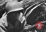 Standbild 158 Infanterie Bataillon 2 Arawe New Britain Papua-Neuguinea, 1943, aus Sekunde 49 historischem Filmmaterial Videoclip 65675071778