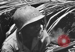 Standbild 158 Infanterie Bataillon 2 Arawe New Britain Papua-Neuguinea, 1943, aus Sekunde 57 historischem Filmmaterial Videoclip 65675071778