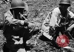 Standbild 158 Infanterie Bataillon 2 Arawe New Britain Papua-Neuguinea, 1943, aus Sekunde 25 historischem Filmmaterial Videoclip 65675071779