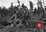 Standbild 158 Infanterie Bataillon 2 Arawe New Britain Papua-Neuguinea, 1943, aus Sekunde 34 historischem Filmmaterial Videoclip 65675071779